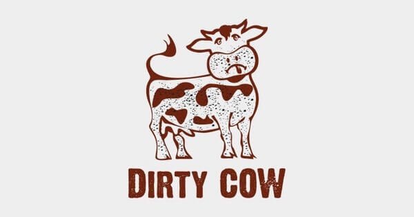 dirty-cow dirty-cow